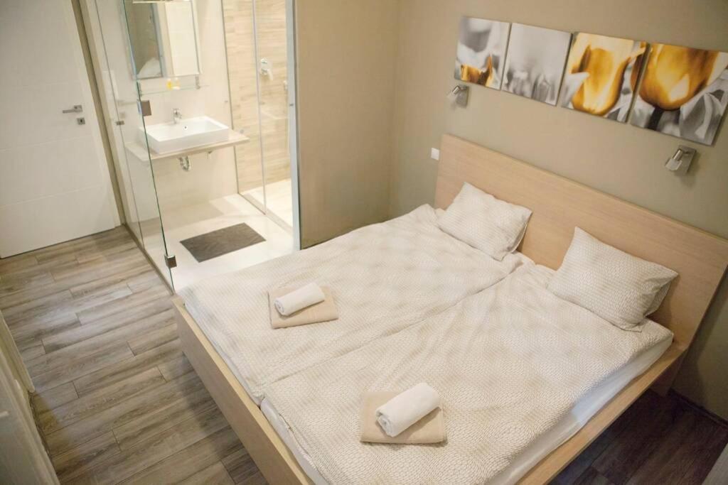 Apartamento Downtown Regiposta 15 Budapest